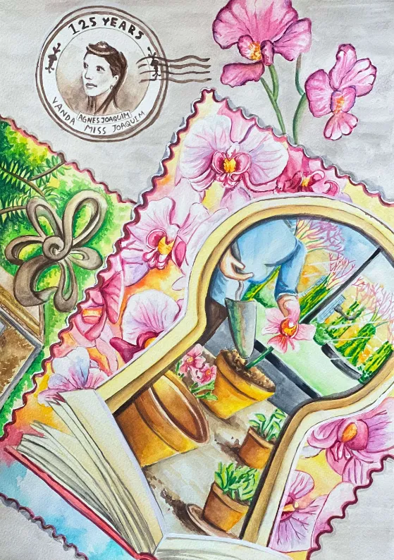 Cat B, Honourable Mention: “Vanda Miss Joaquim” by Adela Laurel Ng Chenxuan